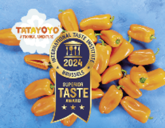 Tatayoyo – pepper