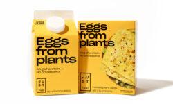 A Rewe üzleteken keresztül kerül piacra a Just Egg Németországban