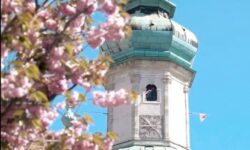 Indul a Best of Sopron!