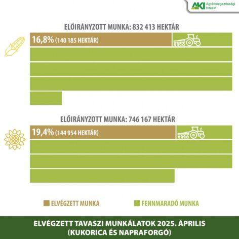 Information report on spring agricultural work