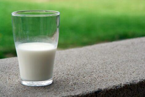 Raw milk exports decreased
