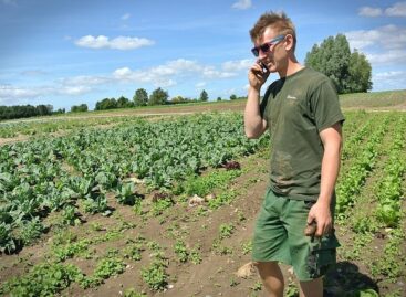 Help for young farmers: almost 5,300 applicants receive support
