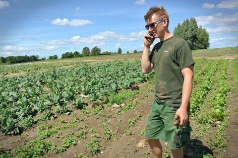 Help for young farmers: almost 5,300 applicants receive support