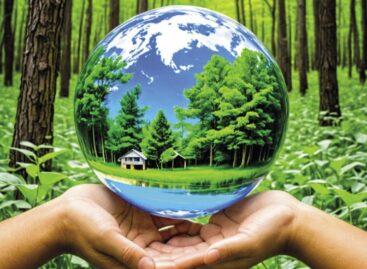 New grant programmes in the field of sustainability