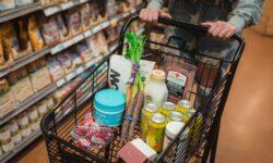 NGM: retail turnover on an expanding path