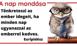 (HU) A nap mondása