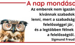 A nap mondása