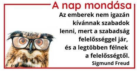 (HU) A nap mondása