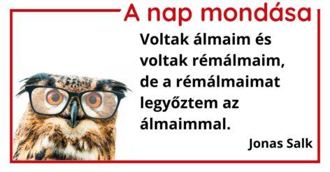 A nap mondása