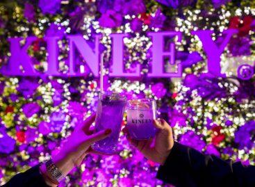 New flavor and exciting bartender competition from Kinley