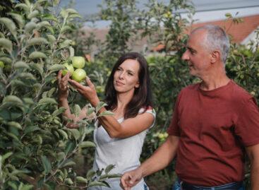 FAO’s Food and Agriculture Strategy Meeting to be held in Budapest