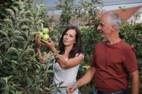 Budapesten tartják a FAO élelmezési és mezőgazdasági stratégiai találkozóját