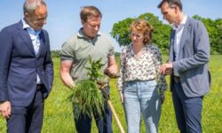 Talajmegújító kísérleti mezőgazdasági programot indít a FrieslandCampina, a Lidl és a ReGeNL