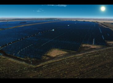 DM continues to go green with the help of its domestic solar park