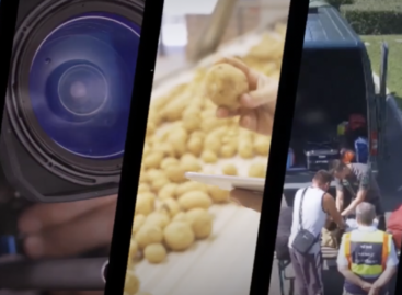 Authorities seize 3.4 tons of food from a hairdressing factory in Hajmászér
