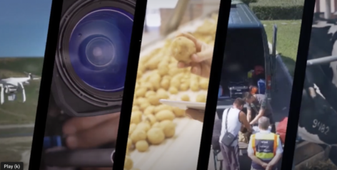 Authorities seize 3.4 tons of food from a hairdressing factory in Hajmászér
