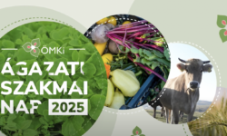 Friss kiskereskedelmi elemzés készült az ökoszektorról