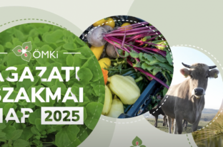 Friss kiskereskedelmi elemzés készült az ökoszektorról