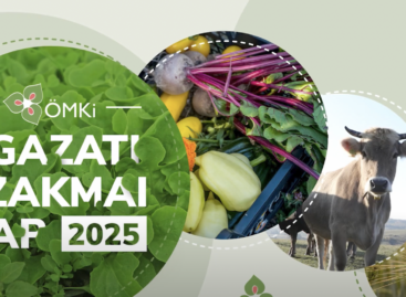 Friss kiskereskedelmi elemzés készült az ökoszektorról