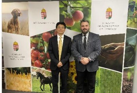 China would develop its wine sector with Hungarian experts