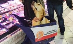 Háziállatokkal látogatható üzlet – A nap képe