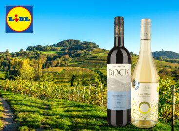 A Lidl Magyarország a hazai borászatok sikeréért is dolgozik