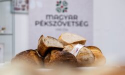 A múlt ízei a jövő egészsége