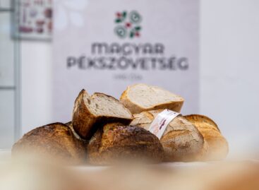(HU) A múlt ízei a jövő egészsége
