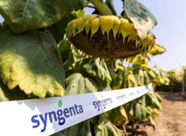 Magasabb szintre emelné a gazdálkodók technológiai tudatosságát és eredményességét a Syngenta Agronomy Solution csapata