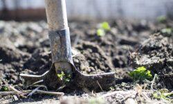 European Commission proposes to simplify CAP to boost competitiveness