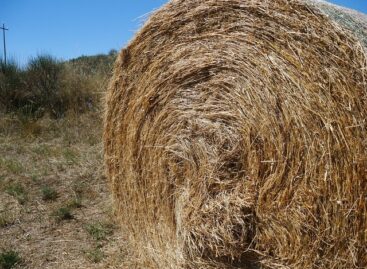 A demonstration on arable land hay and green fodder took place in Tordas