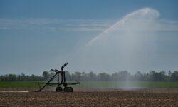 Research related to drought protection and water management is of paramount importance