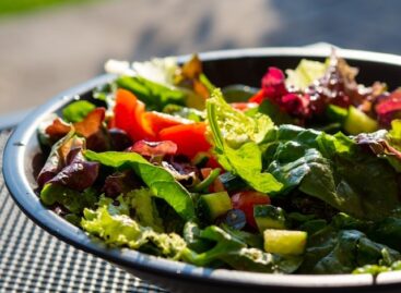 Bell Food’s Eisberg unit sells three Eastern Europe plants