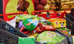 ”A paw in trouble!” – tens of thousands join forces for shelter animals