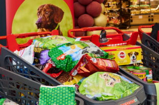 “A paw in trouble!” – tens of thousands join forces for shelter animals