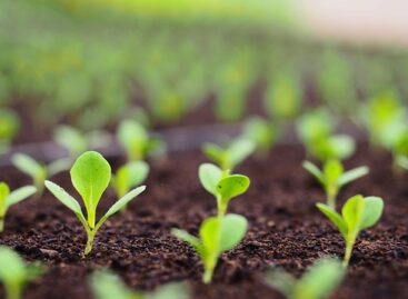 Hundreds of billions of forints more to help environmentally conscious farmers