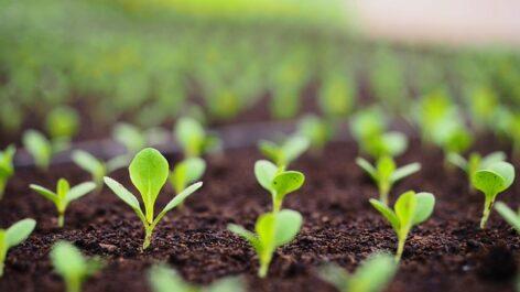 Hundreds of billions of forints more to help environmentally conscious farmers
