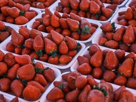 A hazai és az import szamóca ára is emelkedett