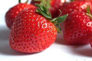 There is huge money in strawberry export