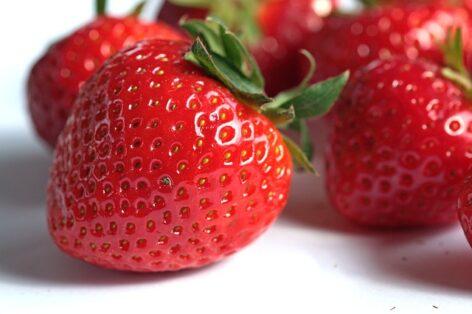Strawberry shortage on the markets in mid-May – weather caused serious damage