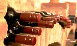 The future of the Hungarian wine sector is quality and innovation