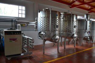 AM: the future of the Hungarian wine sector is quality and innovation