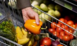 Spanish Food E-Commerce Market Set To Recover In 2025