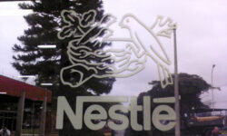 7 millió dollárt invesztál a Nestlé a gabonapehely-gyártásba Zimbabwéban