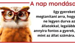 A nap mondása