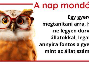 A nap mondása