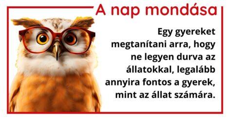 A nap mondása