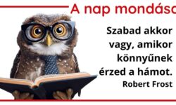 (HU) A nap mondása