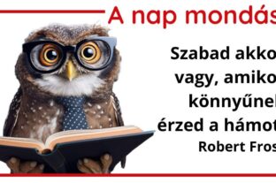 (HU) A nap mondása