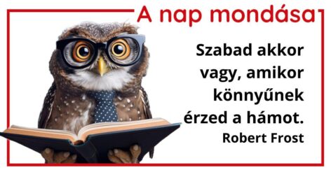 A nap mondása